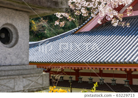 Sakura Nara Tsubosakaji Sakura Nara Tsubosakaji 63229713