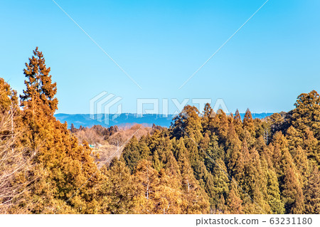 Tsukigase Bairin (March sunny) Tsukigase Bairin (March sunny) 63231180