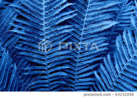 Floral background. Glowing fern in neon trendy Floral background. Glowing fern in neon trendy 63232098