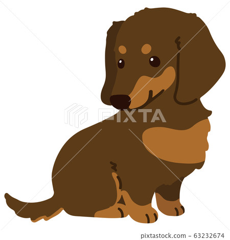 坐下迷你達克斯獵犬的巧克力舌頭沒有主線 63232674