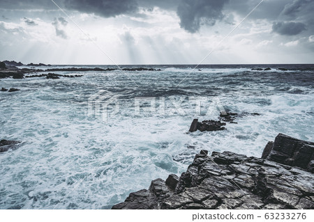 日本橫島福井 63233276