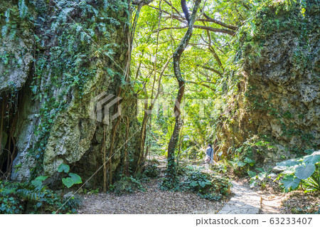 日本沖繩縣Seiba Mitake 63233407