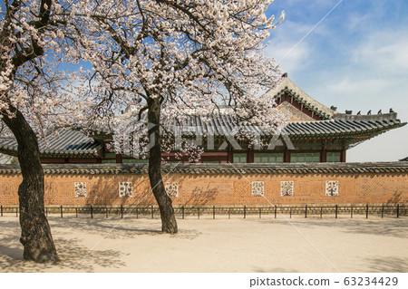 紫禁城春天 紫禁城春天 63234429