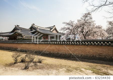 Forbidden City Forbidden City 63234430