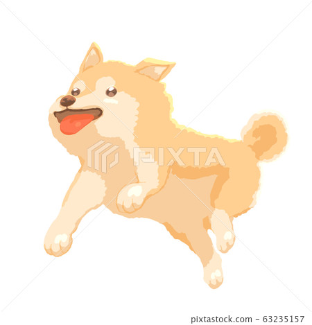 Energetic Shiba Inu 63235157