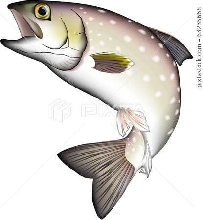 Amemas (stream fish) 63235668