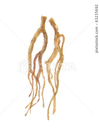 Mishima Saiko Root Saiko Mishima Saiko Root Saiko 63235692