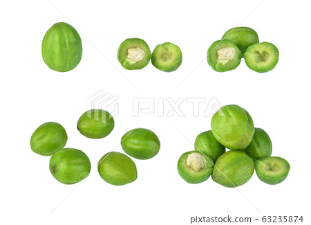 Chebulic Myrobalans, Myrolan Wood (Terminalia Chebulic Myrobalans, Myrolan Wood (Terminalia 63235874