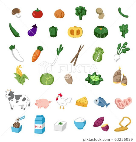 Illustration set of ingredients good for the body vector 63236059