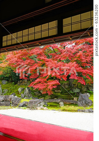 Higashiyama, Kyoto Higashiyama, Kyoto 63236200