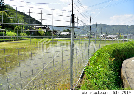 防蟲柵欄電圍欄 63237919