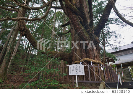 Daisetsuyama Osugi Daisetsuyama Osugi 63238140