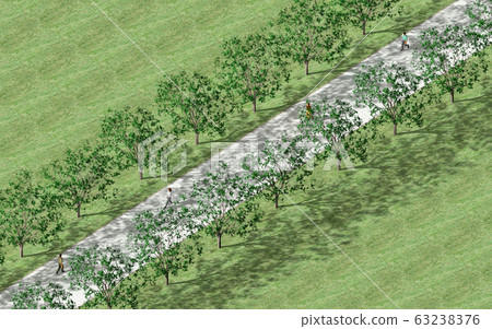 Trees, sidewalks and people Trees, sidewalks and people 63238376