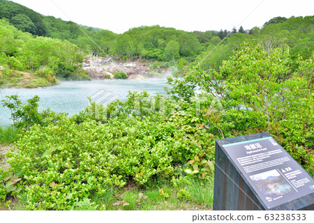 Aomori Pref. Aomori Pref. 63238533