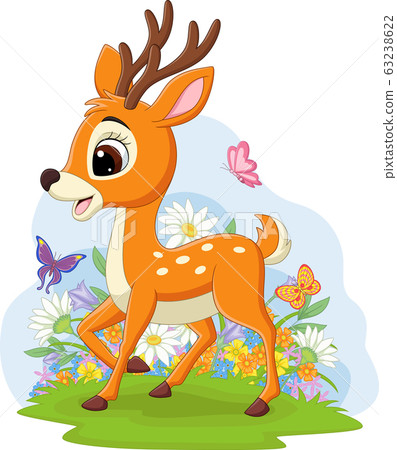 Cute baby deer in the grass Cute baby deer in the grass 63238622