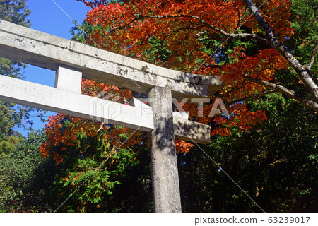 oh面拓ian寺的石牌坊門和紅葉 63239017