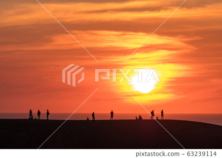 鳥取沙丘的日落 63239114