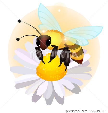 The bee sits on a flower of a field chamomile isolated on white background. Vector cartoon close-up illustration. The bee sits on a flower of a field chamomile isolated on white background. Vector cartoon close-up illustration. 63239130