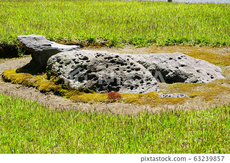 Senguen Kagoshima Prefecture 63239857