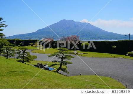 Senguen鹿兒島縣 Senguen鹿兒島縣 63239859