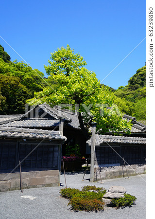 Senguen鹿兒島縣 Senguen鹿兒島縣 63239860