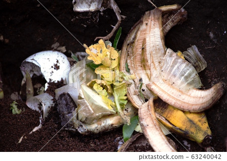Garbage food 6 Garbage food 6 63240042