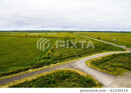 T-junction in Sarobetsu Wetland 63240414