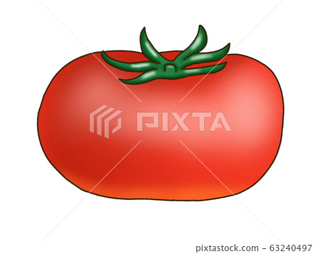Tomato   63240497