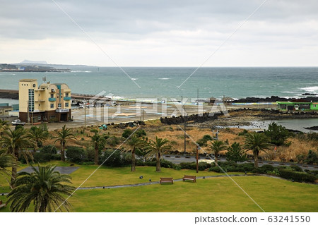 Beautiful Jeju, spring trip Beautiful Jeju, spring trip 63241550