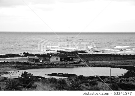 Beautiful Jeju, spring trip 63241577