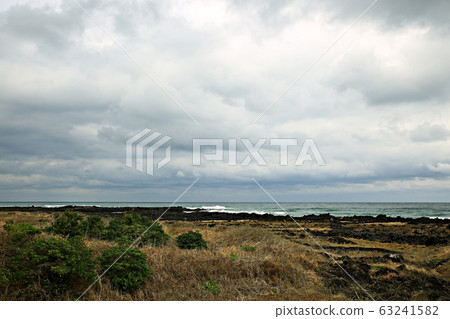 Beautiful Jeju, spring trip Beautiful Jeju, spring trip 63241582