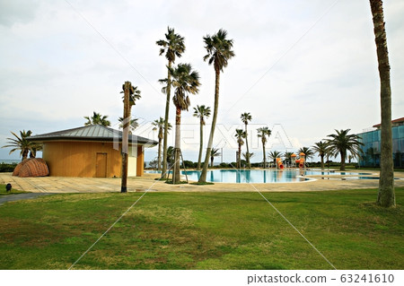 Beautiful Jeju, spring trip Beautiful Jeju, spring trip 63241610