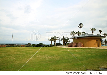 Beautiful Jeju, spring trip Beautiful Jeju, spring trip 63241620