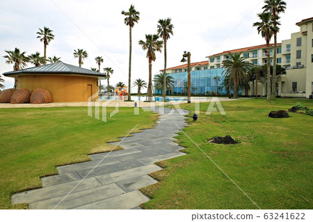 Beautiful Jeju, spring trip Beautiful Jeju, spring trip 63241622