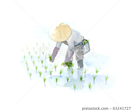 水稻種植水彩 63241727