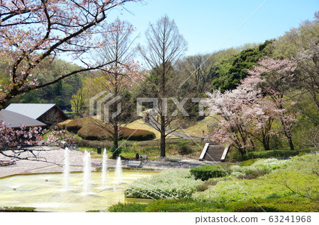 國家武藏山森林公園 63241968