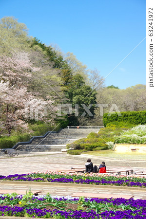 春天 春天 63241972