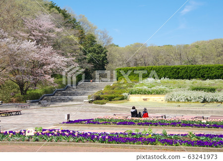 Spring Spring 63241973