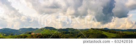 Austria Vineyards Leibnitz area south Styria 63242016