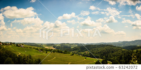 Herzerl Strasse, vineyards in summer, Spicnik 63242072