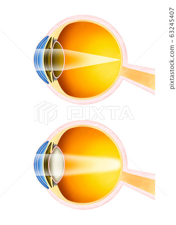 眼部解剖-插圖素材 [63245407] - PIXTA圖庫