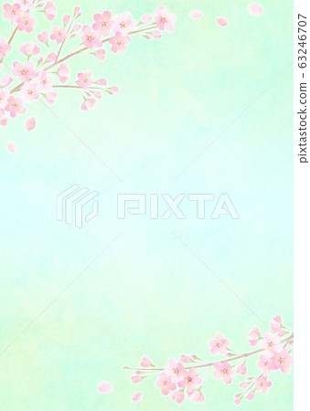 Background material Sakura Sakura Somei Yoshino Background material Sakura Sakura Somei Yoshino 63246707