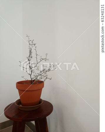 背景圖像,窗簾,窗戶,牆壁,裝飾,道具,框架,椅子,架子,花盆,食品,葉子,衣架,衣架,裝飾,o 背景圖像,窗簾,窗戶,牆壁,裝飾,道具,框架,椅子,架子,花盆,食品,葉子,衣架,衣架,裝飾,o 63248131