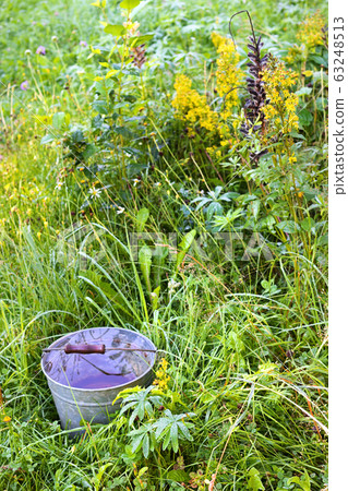 Summer rain Summer rain 63248513