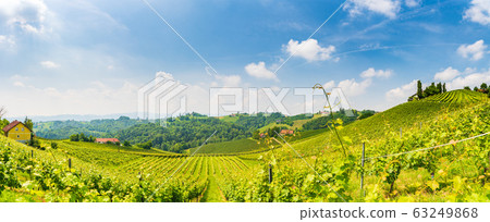 Sulztal, Styria Austria - 2 June 2018: Vineyards Sulztal, Styria Austria - 2 June 2018: Vineyards 63249868