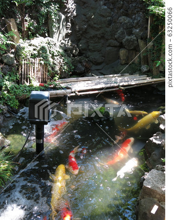Benito Pond在台東區的Yoshiwara Benzaiten Benito Pond在台東區的Yoshiwara Benzaiten 63250066