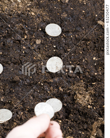 the hand of a man with coins 63250477
