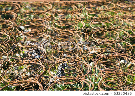 an old rusty bed 63250486