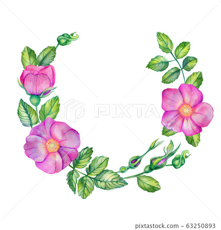 Watercolor wreath with wild rose. Watercolor wreath with wild rose. 63250893