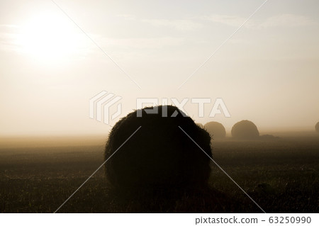 beautiful sunrise in the agricultural field beautiful sunrise in the agricultural field 63250990